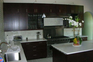 Kitchen - contemporary kitchen idea in New York