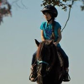 Heather Cook's photo