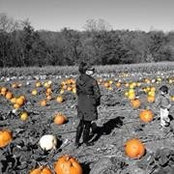 Rachel Neill's photo