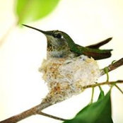 Erin Sivert's photo