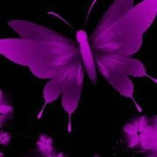 Nicole Gilbert's photo