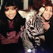 Lisa Lillien's photo