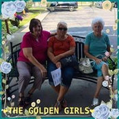 Brandi McCoy's photo