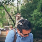 Perry Lau's photo