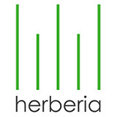 Foto di profilo di Herberia Ceramica