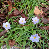 joanne halls's photo