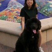 Khanh Nguyen's photo