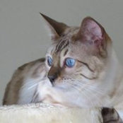 Foto von Kim Guinn