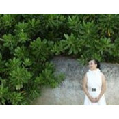 Wong Linさんの写真