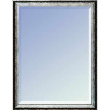 La Pastiche Athenian Silver Framed Mirror, 20" x 24"