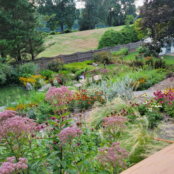 Backyard Slope Planting & Hardscaping | After
