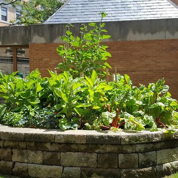 Vegetable Garden