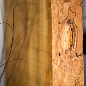 Black Wood Project 1