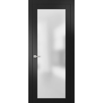 Modern Solid French Door Frosted Glass 36 x 84 | Planum 2102 Black Matte