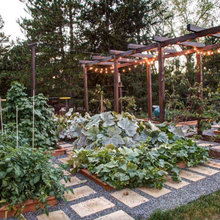 garden inspo