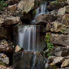 Landscape Ideas