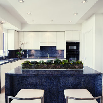 Pent House in Miami