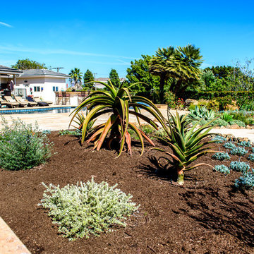 Del Cerro Property