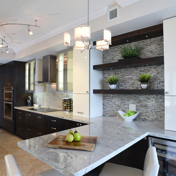 Contemporary Kitchen Remodel (Miami, FL)