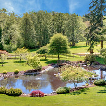 Pond Ideas