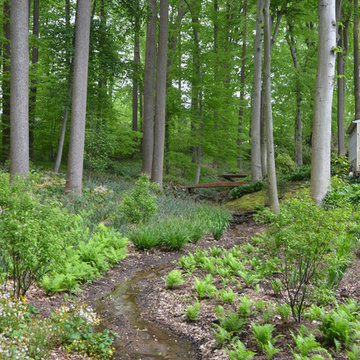 Woodland Garden