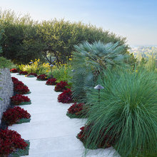 outdoor ideas