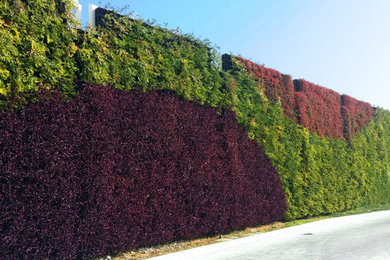 Vertical Garden Wall, Residence U.A.E