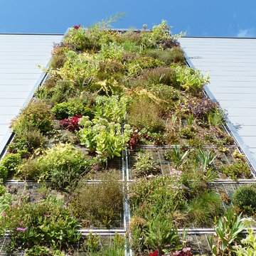 Façade végétalisée / Mur végétal extérieur VERTICAL FLORE (Centre Commercial)