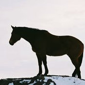 Joseph Toole's photo