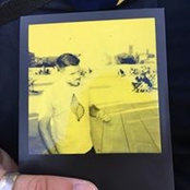 Pierre Rovere's photo