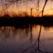 Holly Coleman's photo