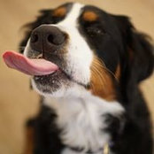 Melissa Taylor's photo