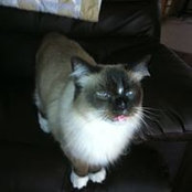 Cathy Kroeker's photo