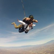 Dawn Meadows's photo