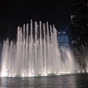 Anna Niemczyk's photo