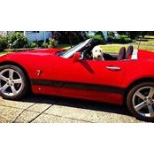 Becky Bertke's photo