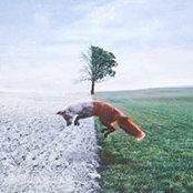 Robin Richard's photo