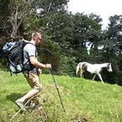 Piotrek Stanislaw's photo