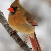David Bush's photo