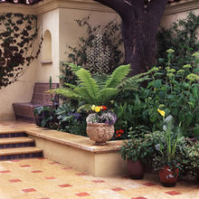 plants