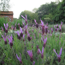 Planting - Outdoor Products