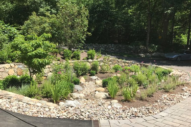 Design ideas for a transitional landscaping in Providence.