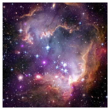 "Under the Wing of the Small Magellanic Cloud" Paper Print by NASA, 32"x32"