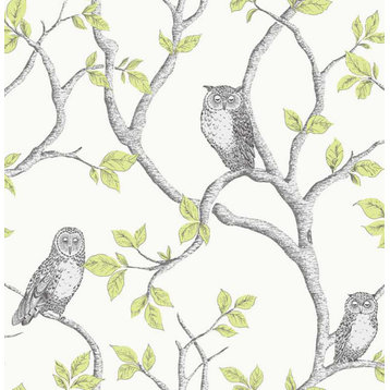 Linden Green Owl Wallpaper Bolt