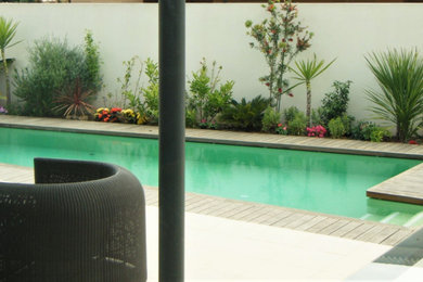 Proyecto de piscina y paisajismo