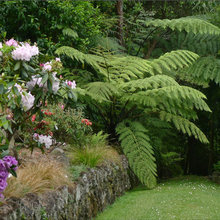 Landscape Ideas