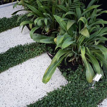 Oakford Project