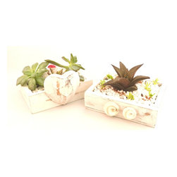 Our products - Accessories and Decor