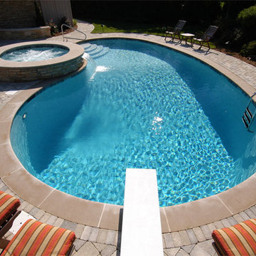 Northbrook, IL Freeform Pool with Round Elevated Hot Tub