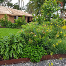 Plant Plan